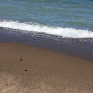 Meet your Posher, Gigi